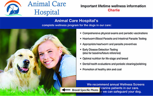 Getting Clients’ Attention for Preventive Care